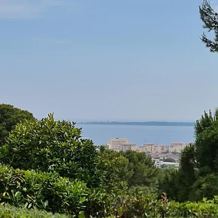 Provencal 7-Bedroom Villa In Antibes Juan Les Pins Villa *